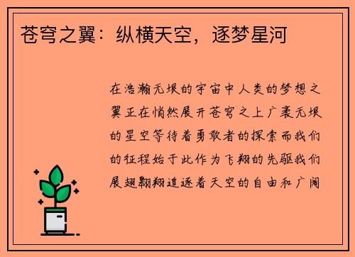 苍穹之翼：纵横天空，逐梦星河