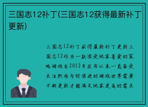 三国志12补丁(三国志12获得最新补丁更新)